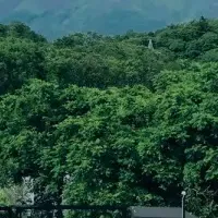 「BLANC FUJI」宿泊券