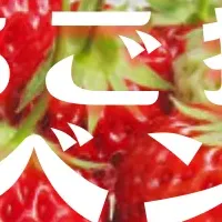 春を感じるいちご狩り