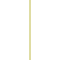 STAYGOLDの健康経営