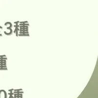 ソ・ジソブ特別くじ