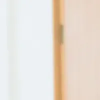忍者ナイン入会キャンペーン