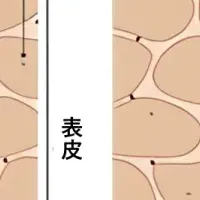 サウナとOCHER