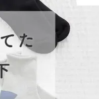 靴下が569%達成！