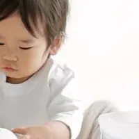 新たなおもちゃ登場