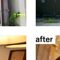 地域再生のプロ