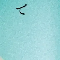 ベイビーガールDVD