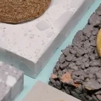 期間限定の新クッキー