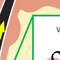 毛髪成長を支える