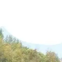 楽しい玉ねぎ収穫